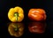 One big sweet capsicum yellow pepper with green stems and one orange pepper in water drops with  reflection on glossy dark surface