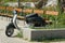 One black moped stands by a gray concrete bed with green grass in an alley