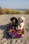 One black and one beige Havanese puppy dogs sitting together on a boogie surfboard on a sand dune near the tall grass and the