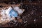 One blue mitten with a snowflake on the bark and a dark wooden table in the snow