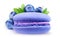 One blueberry flavored macaroon in front of pile of blueberries isolated on white background