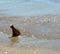 one bottle with secret message on the seashore