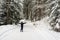 One boy happy runs in the forest, walk in the fresh winter air