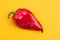 One bright red big whole bell pepper on yellow background top view