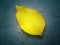 One bright yellow leaf on a dark gray concrete floor in close proximity.