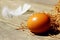 One brown egg on wooden board and white feather blurry in the background. Abstract food background. Egg in the nest.