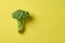 One bunch of broccoli lies on scratched yellow concrete desk on kitchen. Space for text