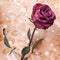 One burgundy rose flower on painted crumpled aged paper background close up, holiday invitation or greeting card design