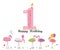 One candle. Happy first birthday candle letter. Exotic birds. Set of different poses flamingos. Colorful flamingo