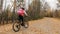 One caucasian children rides bike road in autumn park. Little girl riding black orange cycle in forest. Kid goes do