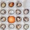 One Chicken egg among many quail eggs in carton box. Top view. Acceleration, Individuality and difference concept