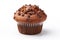 One chocolate muffin white background