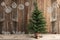 One Christmas Tree, Calligraphy Happy Holidays, Decoration