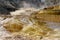 One of the Colorful Thermal Waterfalls in Mammoth Hot Springs