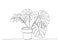One continuous black line drawing art of Monstera tree in pots on white background