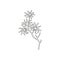 One continuous line drawing beauty fresh witch hazels for home art wall decor poster print. Decorative deciduous shrubs plant