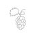 One continuous line drawing healthy organic grapes for vineyard logo identity. Fresh tropical fruitage concept for fruit orchard