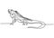 One continuous line drawing of iguana lizard. Exotic reptile animal for company logo identity or pet lover society. Vector hand