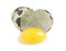 One cracked quail egg on white background