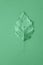 One dry autumn leaf on monochrome neo mint light green turquoise color background. Trendy poster in minimalist style