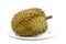 One durian in dish on white background
