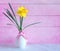 One Easter Daffodil Flower Blossom in a modern vase against pink, painterly textured wood boards with copy space