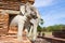 One of the elephants supporting the chedi of the Buddhist temple Wat Sorasak. Sukhothai, Thailand