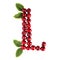 One English letter L Alphabet of ripe cherries. Isolate on white background. Summer, healthy concept