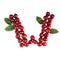 One English letter W Alphabet of ripe cherries. Isolate on white background. Summer, healthy concept