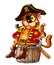 One-eyed red pirate cat