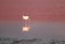 One of a Flamingo Flamboyance at Laguna Colorada, an Amazing Red Salt Lake in the Bolivian Altiplano, Potosi Department of Bolivia