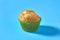 One fluffy muffin in green paper mold on blue