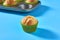 One fluffy muffin in green paper mold on blue