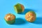 One fluffy muffin in green paper mold on blue