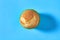 One fluffy muffin in green paper mold on blue background