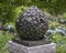 One of four bronze sculptures making up `Nature`s Finials` by Evaline Clarke Sellors at the Forth Worth Botanic Garden, Texas.