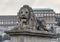 One of four lion sculptures by Janos Marshako, at ends of the Chain Bridge, Budapest, Hungary