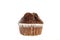 One Fresh Baked Chocolate American Muffin