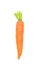 One fresh carrot