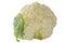 one fresh cauliflower head on white background