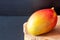 One fresh ripe mexican tropical mango fruit on dark background wooden plank.