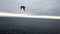 One frigate bird soars next to boat