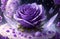 One frozen purple rose hidden in bush with ice crystals by AI Generated