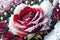 One frozen red rose hidden in bush with ice crystals by AI Generated