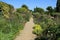 One of the garden at Sissinghurst Castle in Kent in England in the summer.