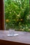 One glass of water stands on a white napkin on a wooden table near a window overlooking the avenue with blooming chestnut trees