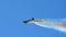 One of The Global Stars Aerial Display Team trailing smoke.