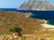 One goat alone, under small tree shadow and sandy beach