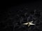 One golden star on black stars on dark background for outstanding ,different creative thinking idea for customer satisfaction and