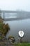 One gracious swan swimming in a water in focus. Bridge out of focus in a fog in the background. Galway city, Ireland. Irish nature
